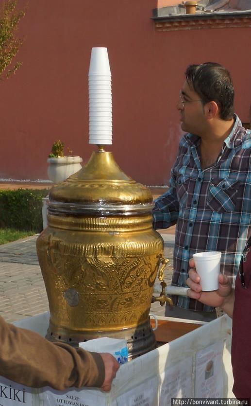 Salep